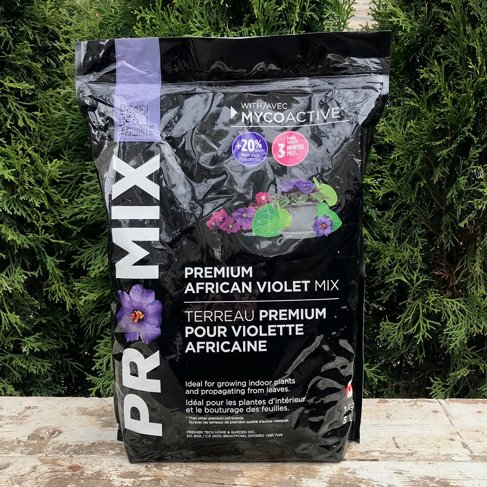 Promix African Violet Soil