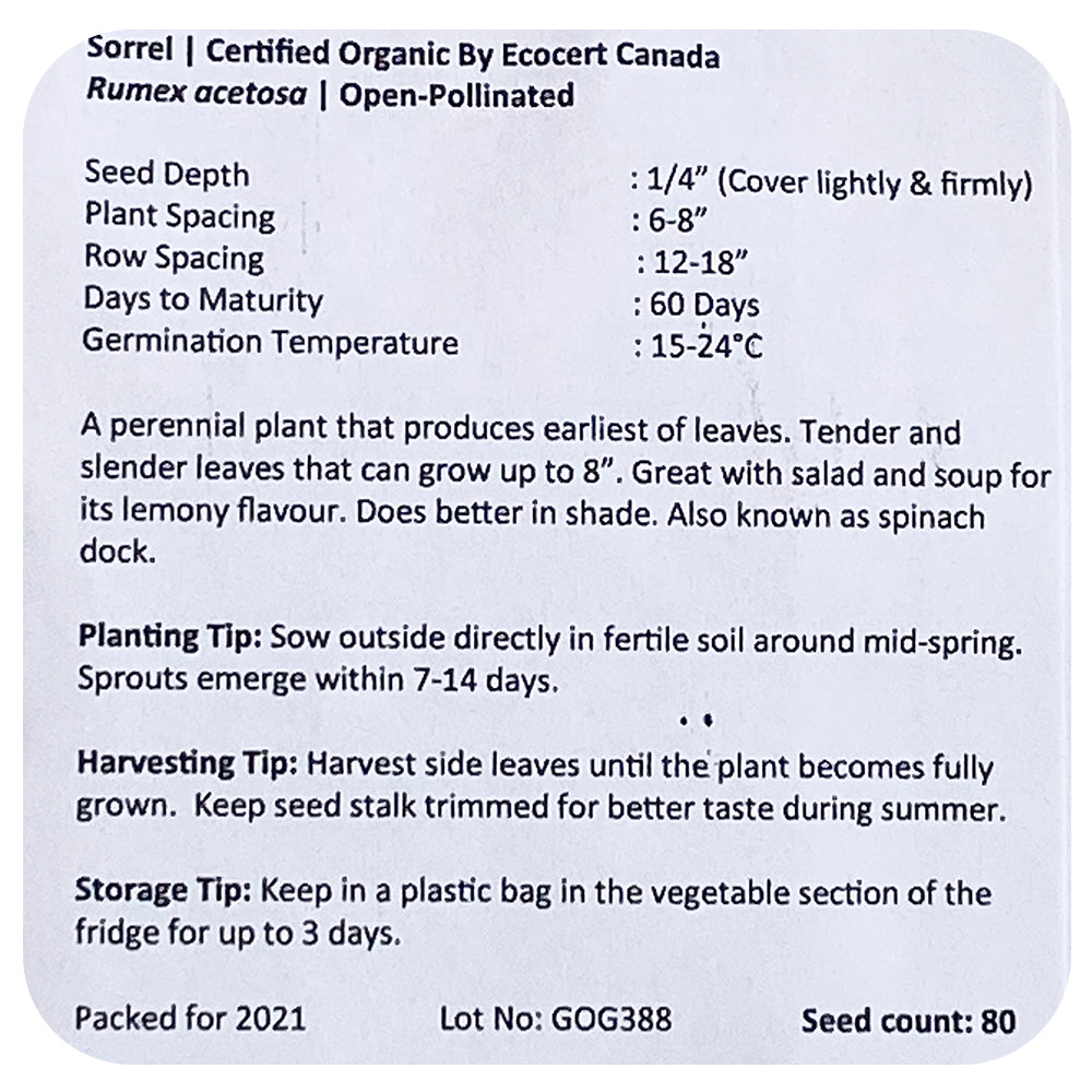 Sorrel Seeds (Organic)
