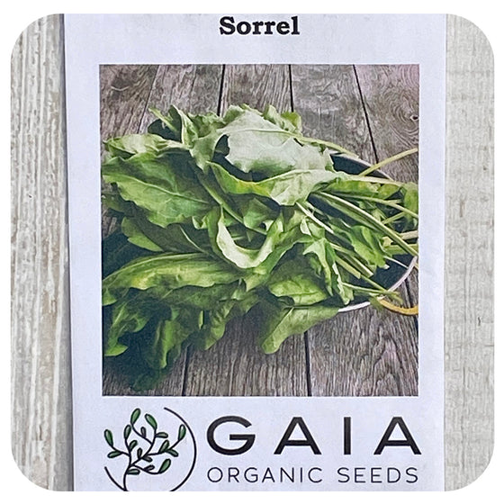 Sorrel Seeds (Organic)