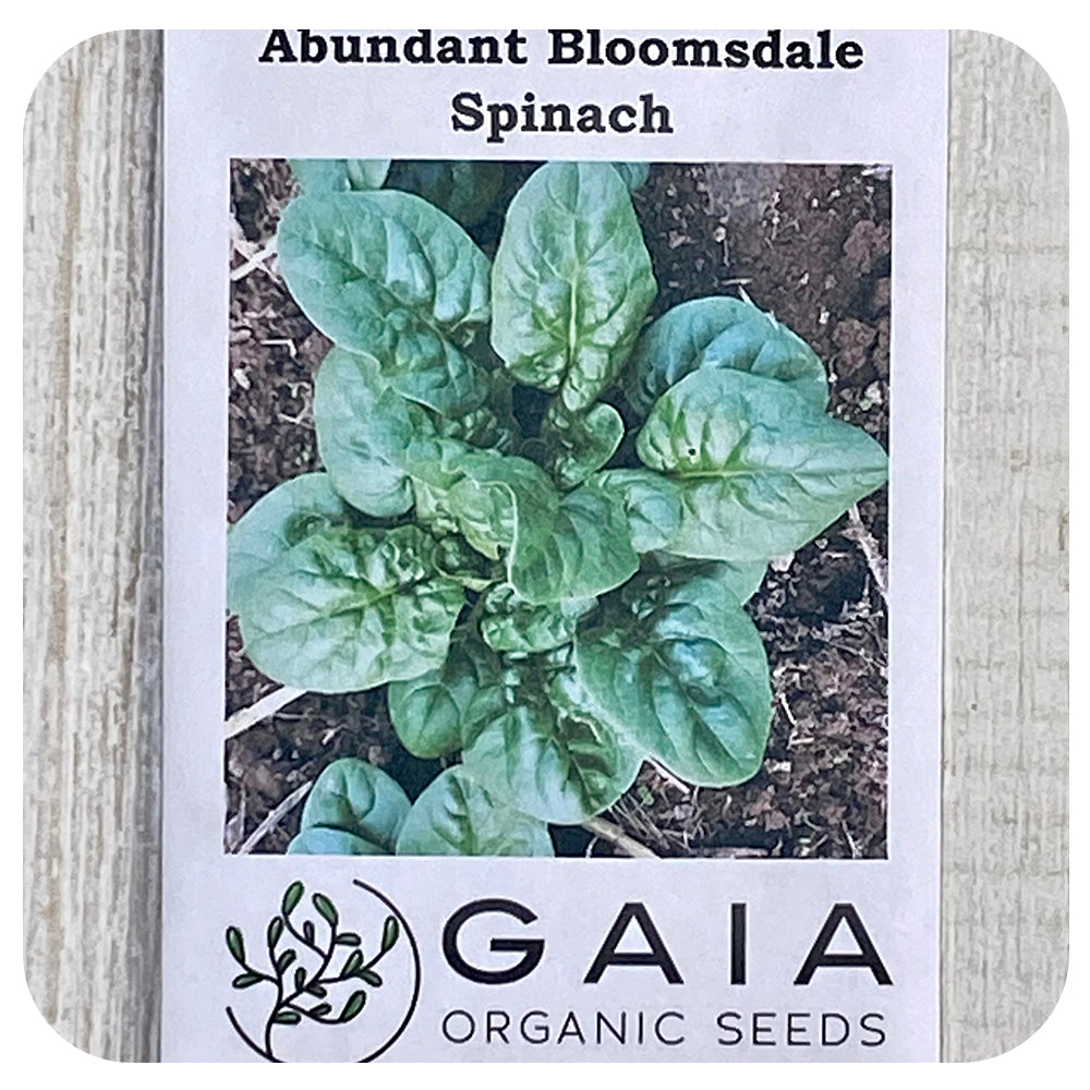 Spinach 'Bloomsdale' Seeds (Organic)
