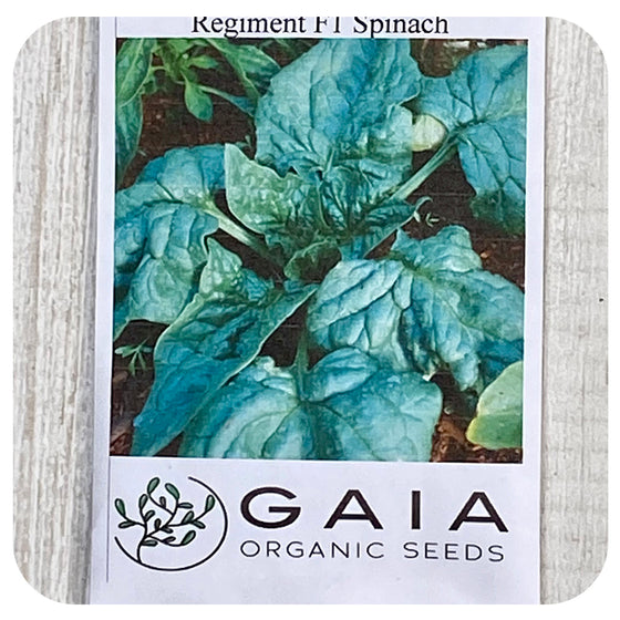 Spinach Regiment Seeds (Organic)