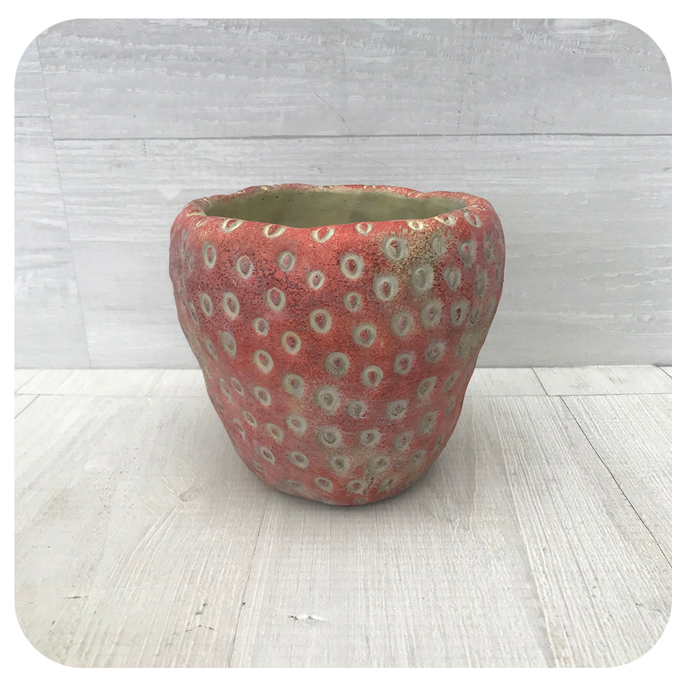 Strawberry Planter