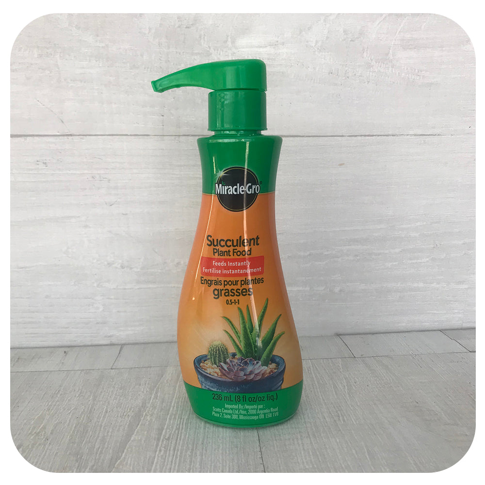 miracle-gro 8 oz succulent plant food Miracle Grow Succulent Plant Food
