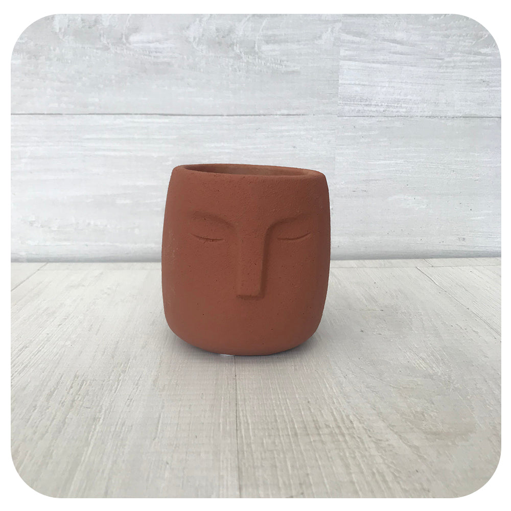 Serene Face Planter Terra Cotta