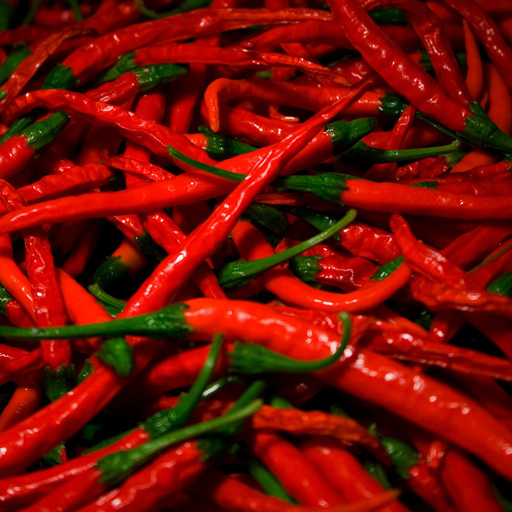 Thai Chili Pepper (Vicki's Veggie Organic)