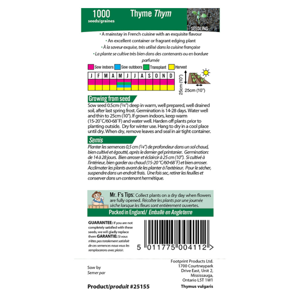 Thyme Seeds