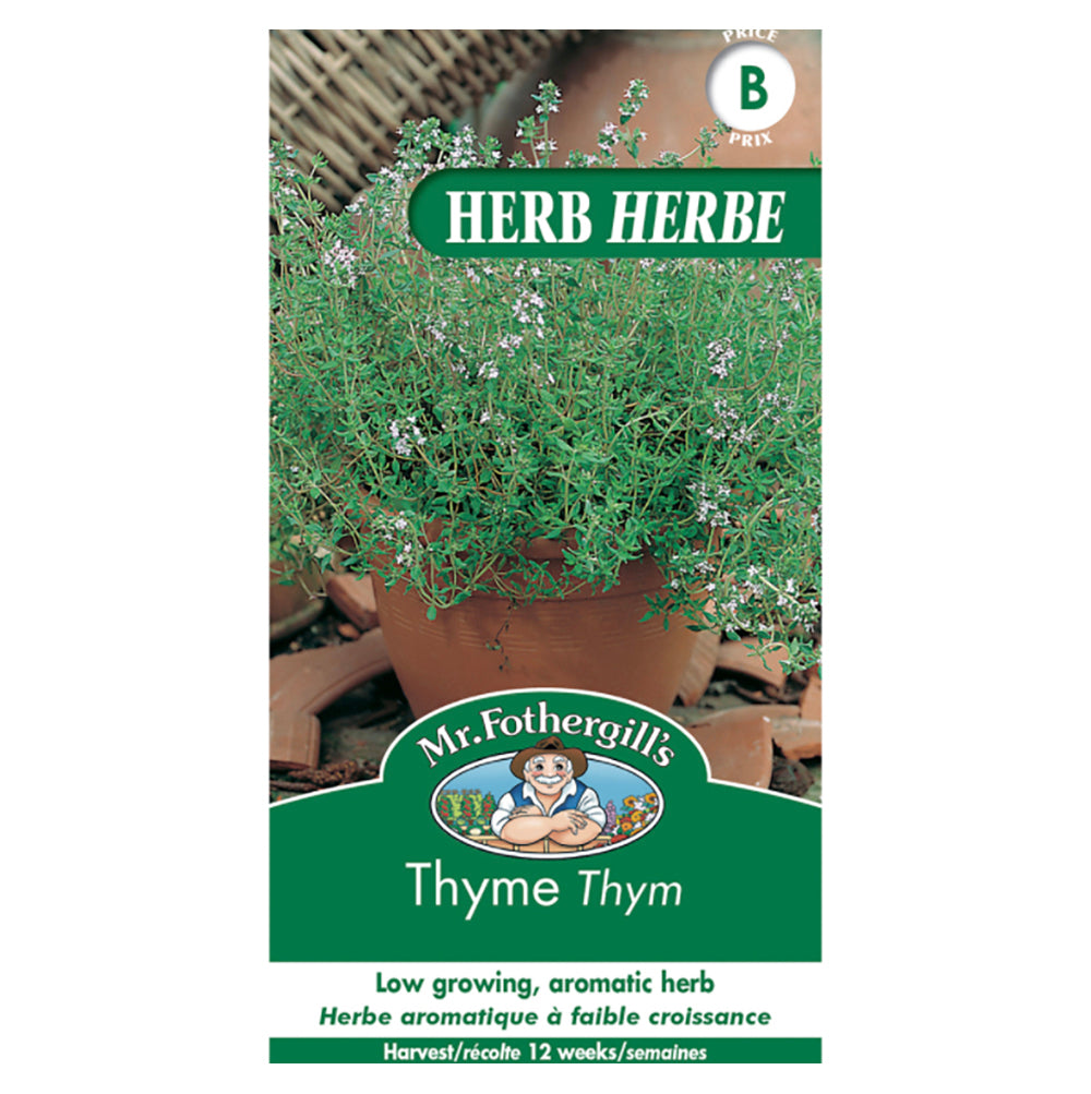 Thyme Seeds