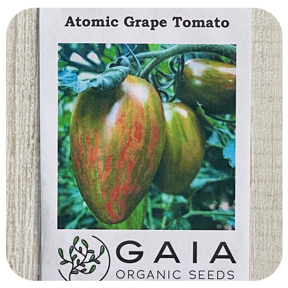 Tomato Atomic Grape Seeds (Organic)