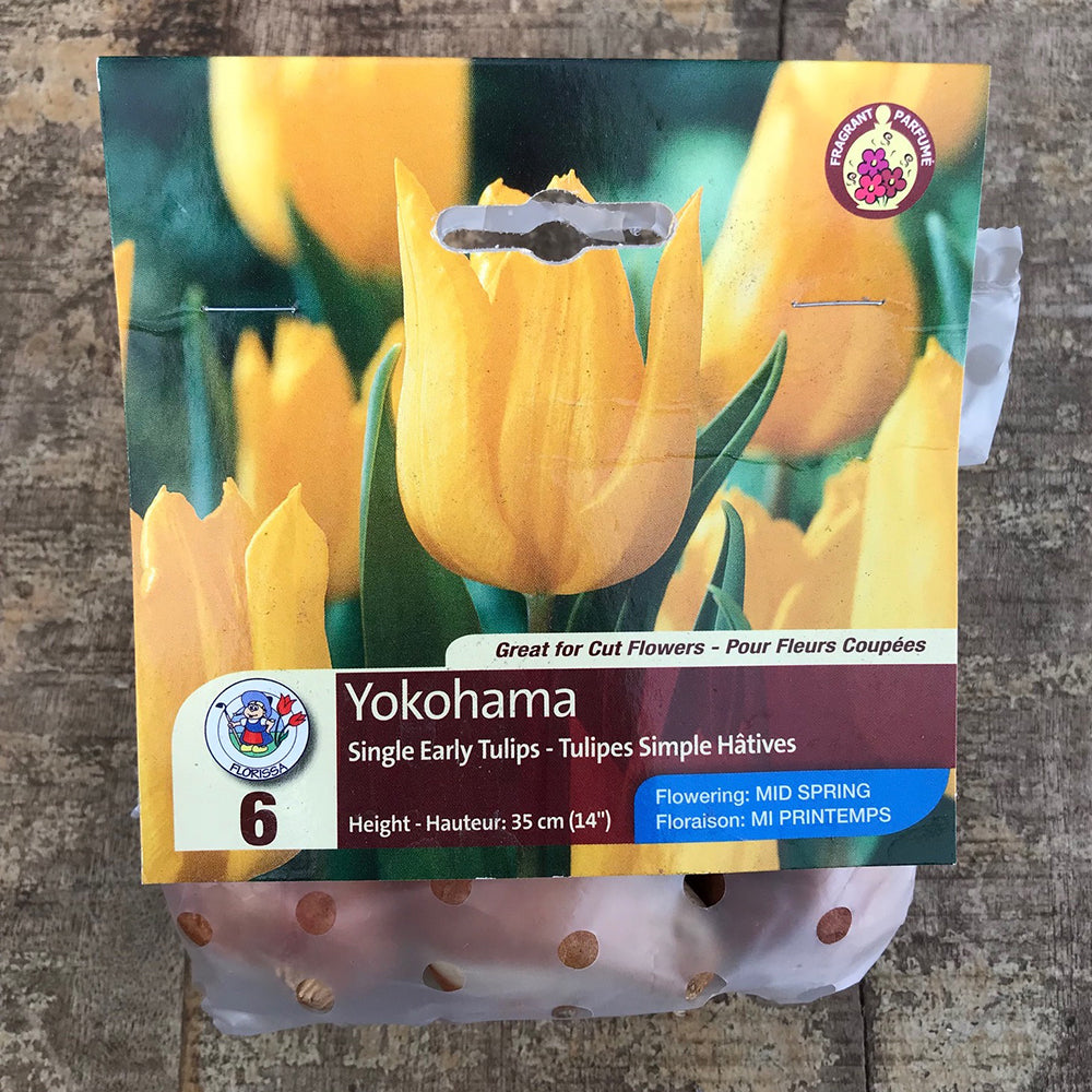 Tulip Yokohama