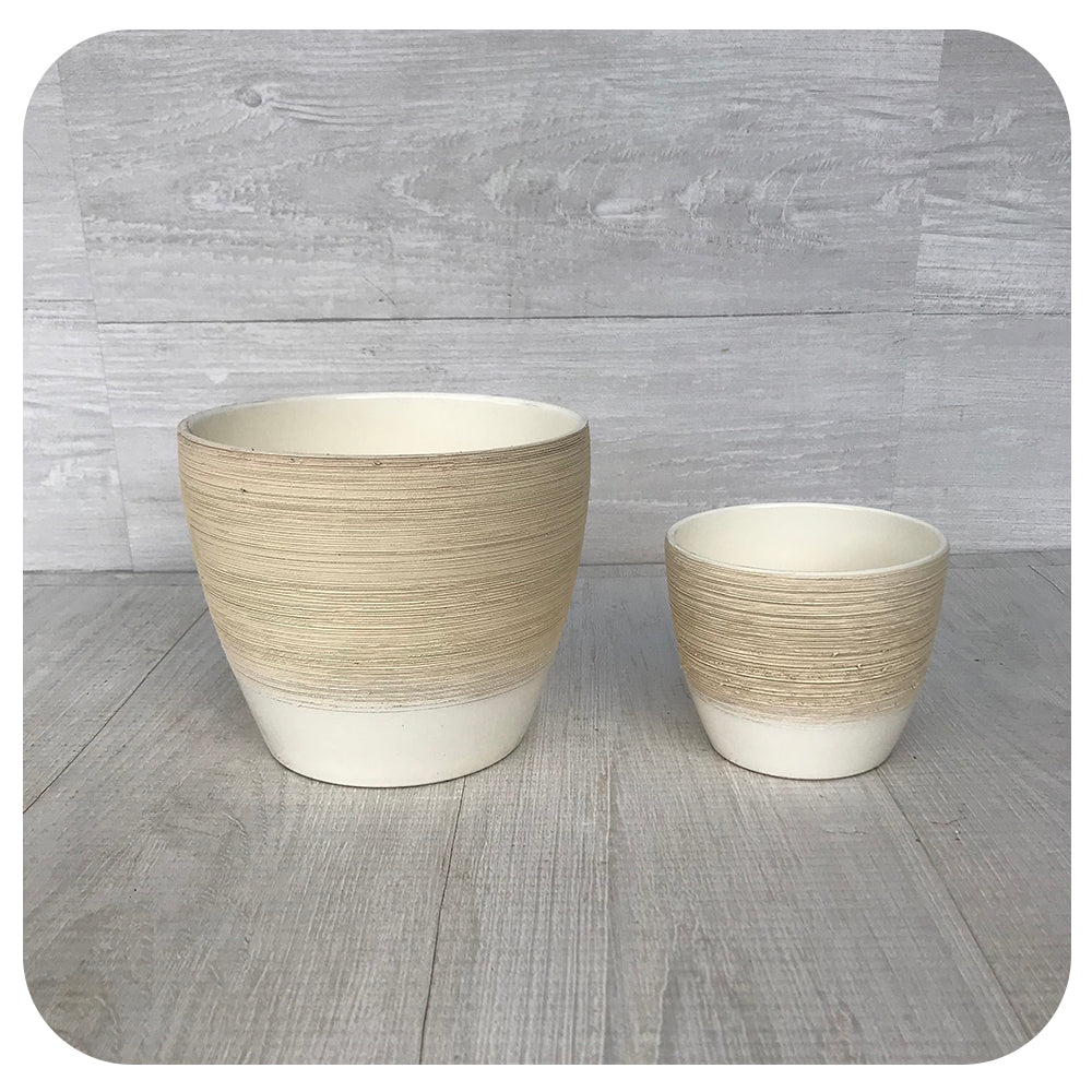 Scheurich Vanilla Cream Pot