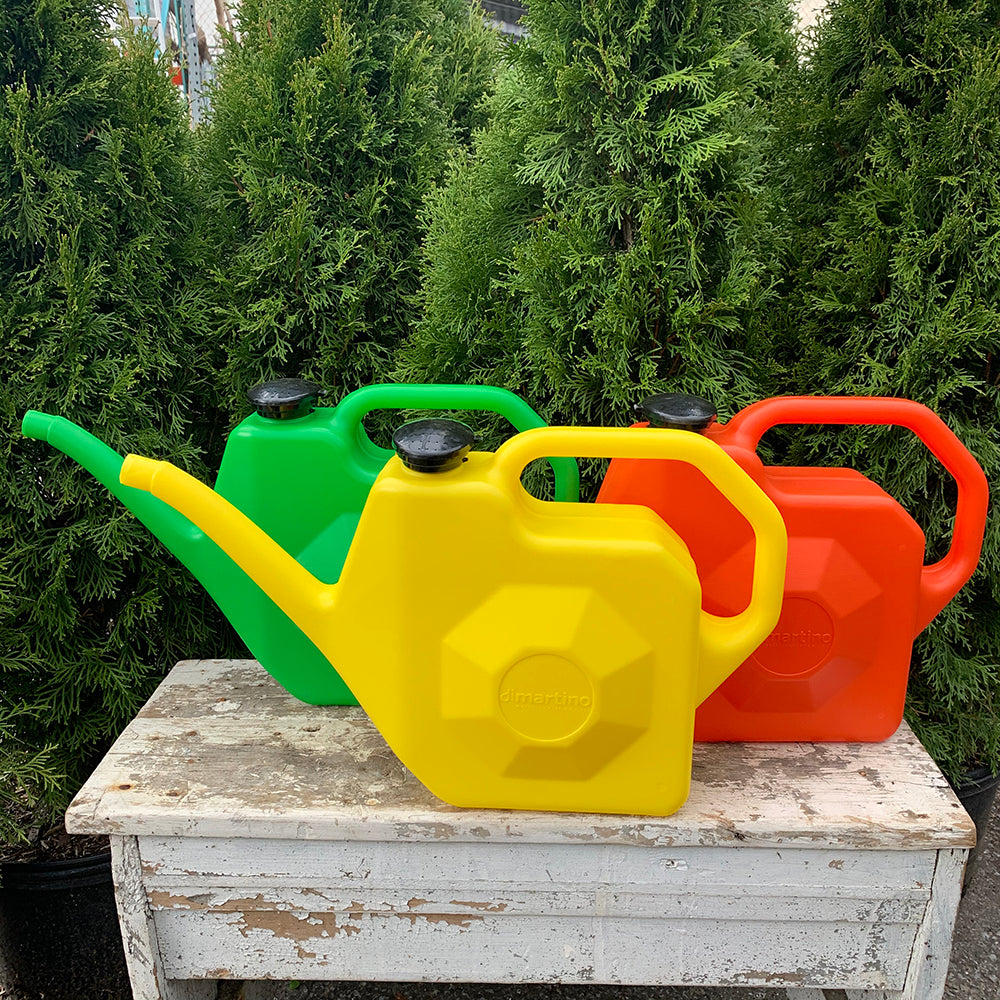Dimartino 5L Plastic Watering Can