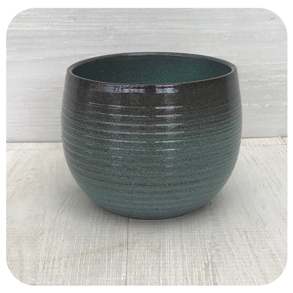 Scheurich Wild Pot Collection