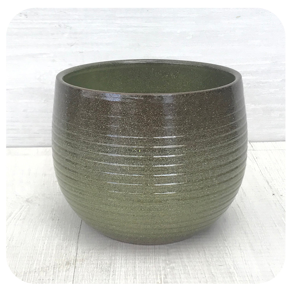 Scheurich Wild Pot Collection