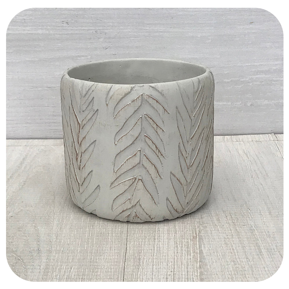 Willow Leaves Planter