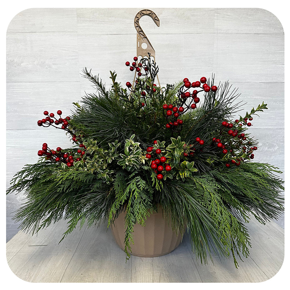 Winter Hanging Basket